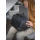 PGYTECH OneGo Solo V2 10L (Black) - 1517763 - zdjęcie 2